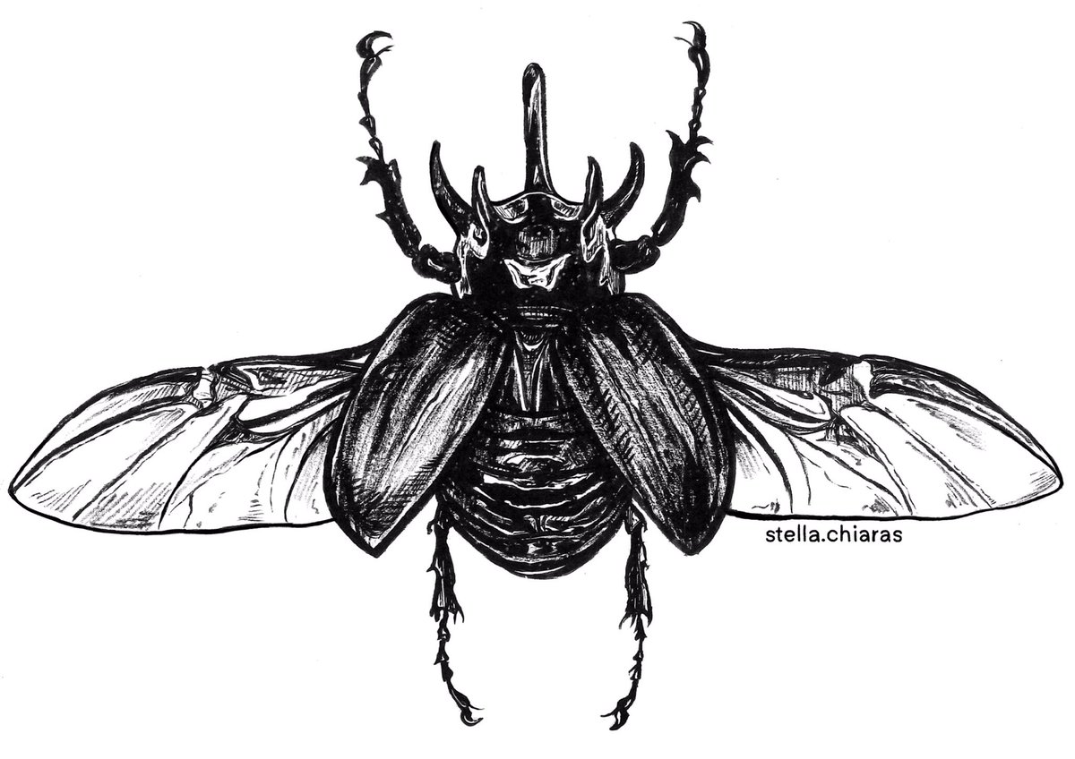 stellachiaras's tweet photo. if anyone wants to get this tattooed, my new machine arrives tomorrow 👀
pls rt!❤️ https://t.co/suM056UHNw