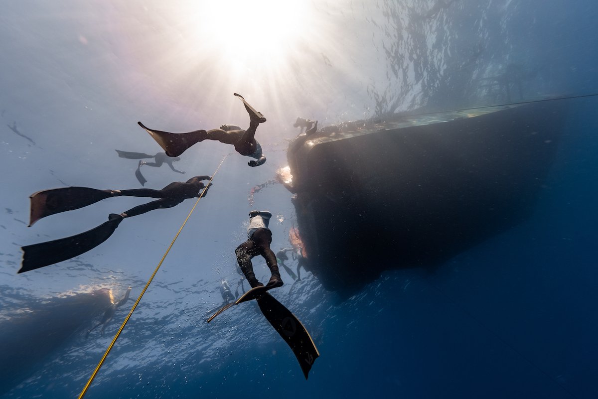 AIDA International tweet media