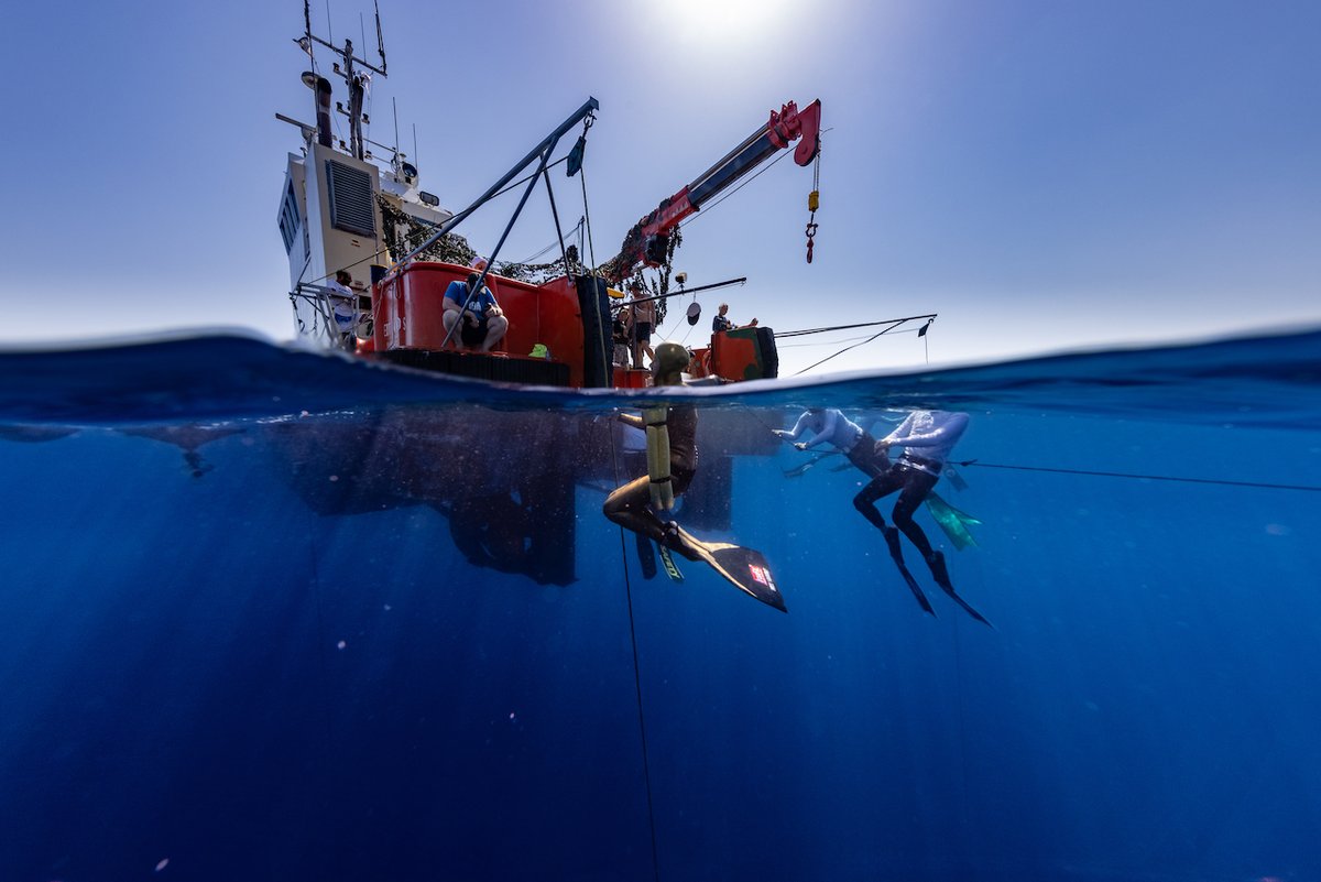 AIDA International tweet media