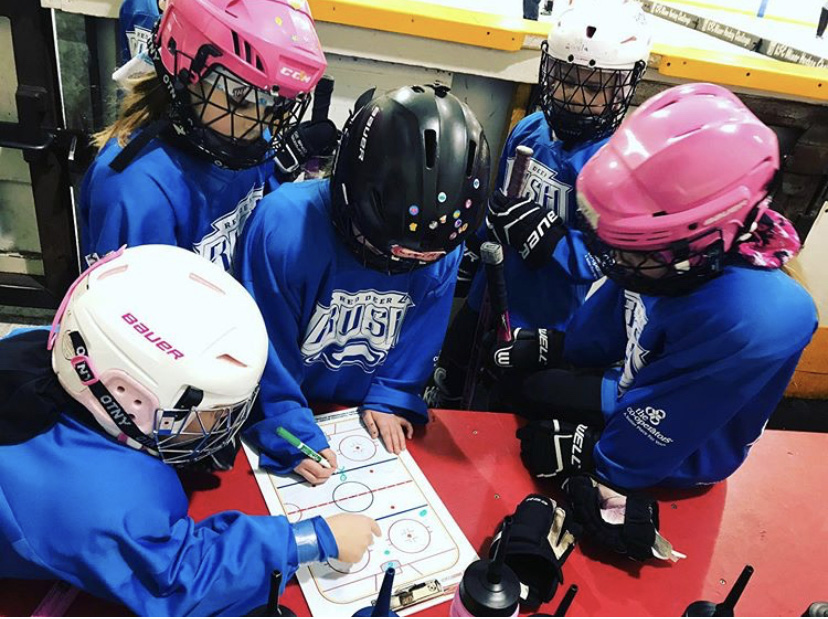 Red Deer Ringette tweet media