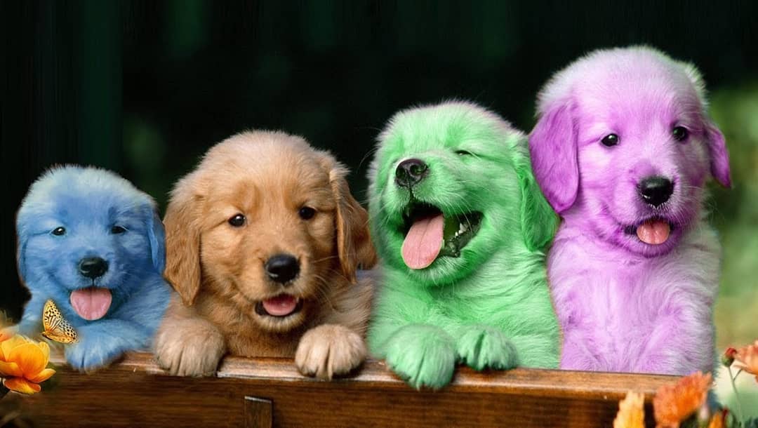 family reunion!!!