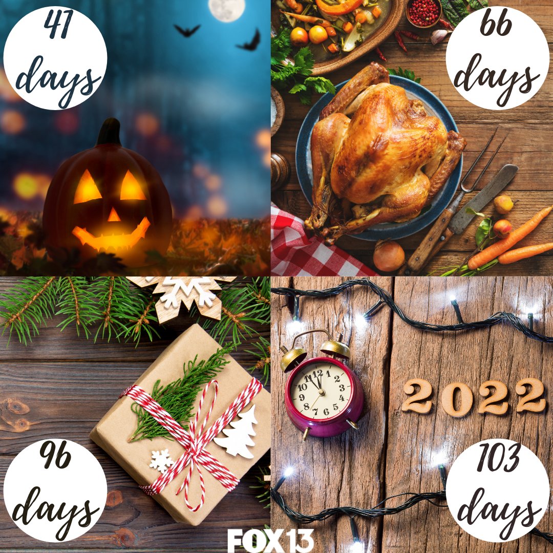 Halloween Thanksgiving Christmas 2022 The Countdown Begins! What Is Your Favorite Holiday? Halloween Thanksgiving  Christmas Newyears 🎃🦃🎄🧨 | Fox13 Memphis | Scoopnest
