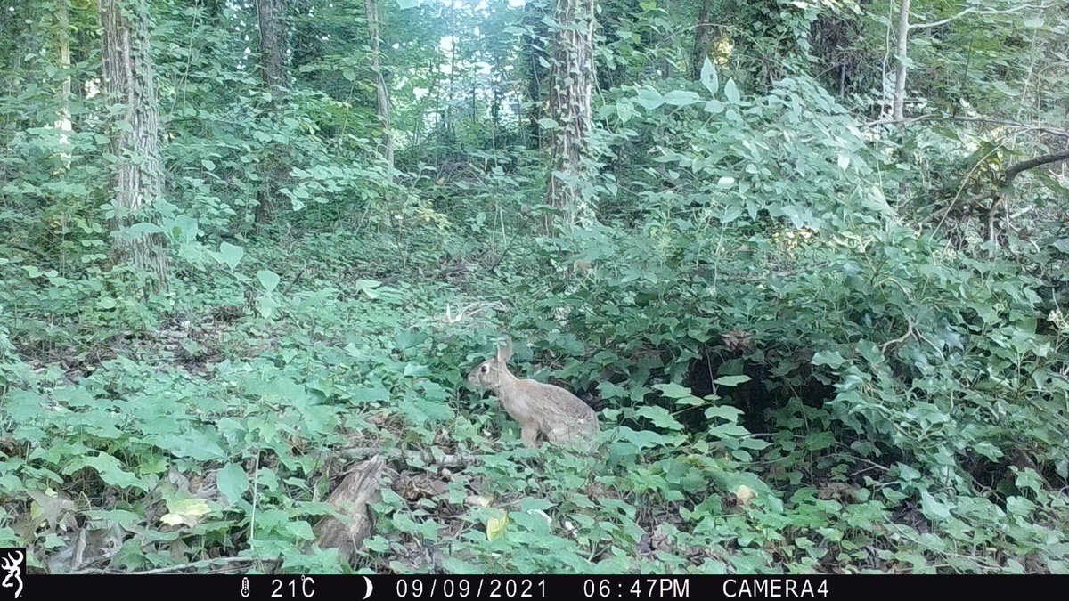 Early peak at some #SnapshotUSA photos from <a href="/MitchellCC_NC/">MitchellCC_NC</a>. We're excited to contribute to this project.