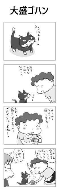 大盛ゴハン#こんなん描いてます#自作マンガ #漫画 #猫まんが #4コママンガ #NEKO3 