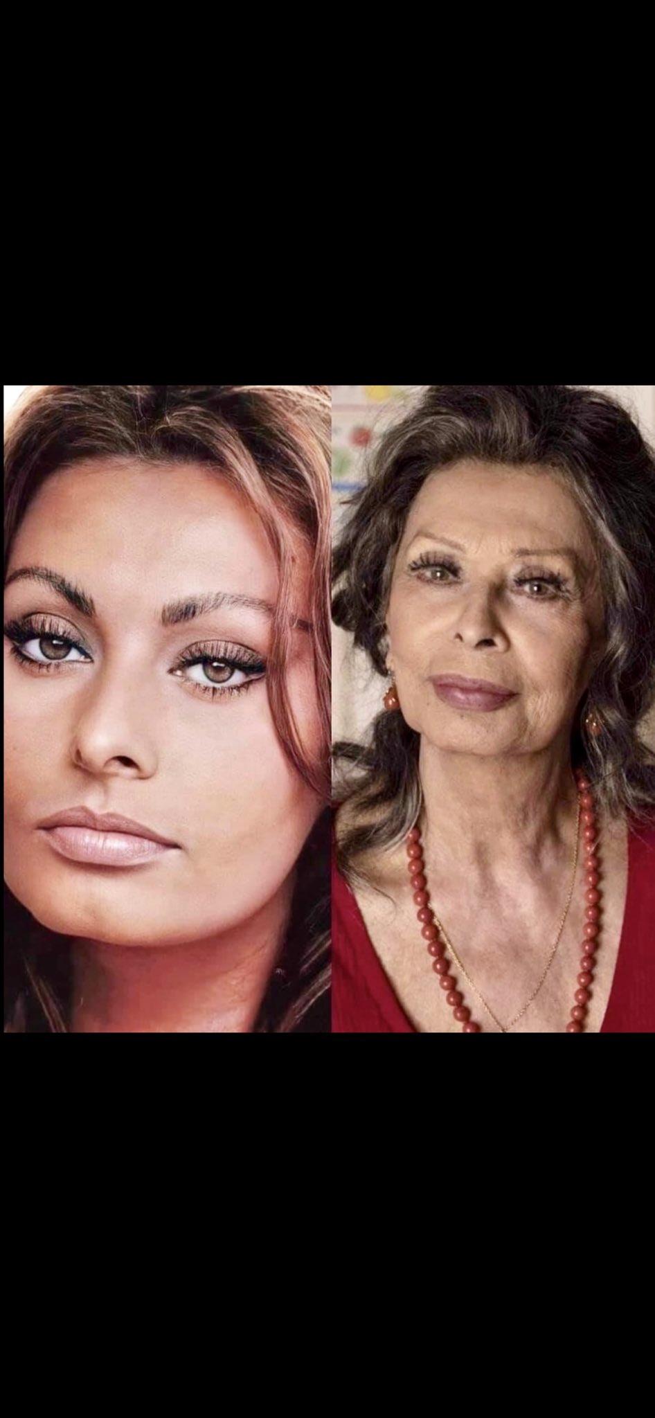 Happy birthday, Sophia Loren 