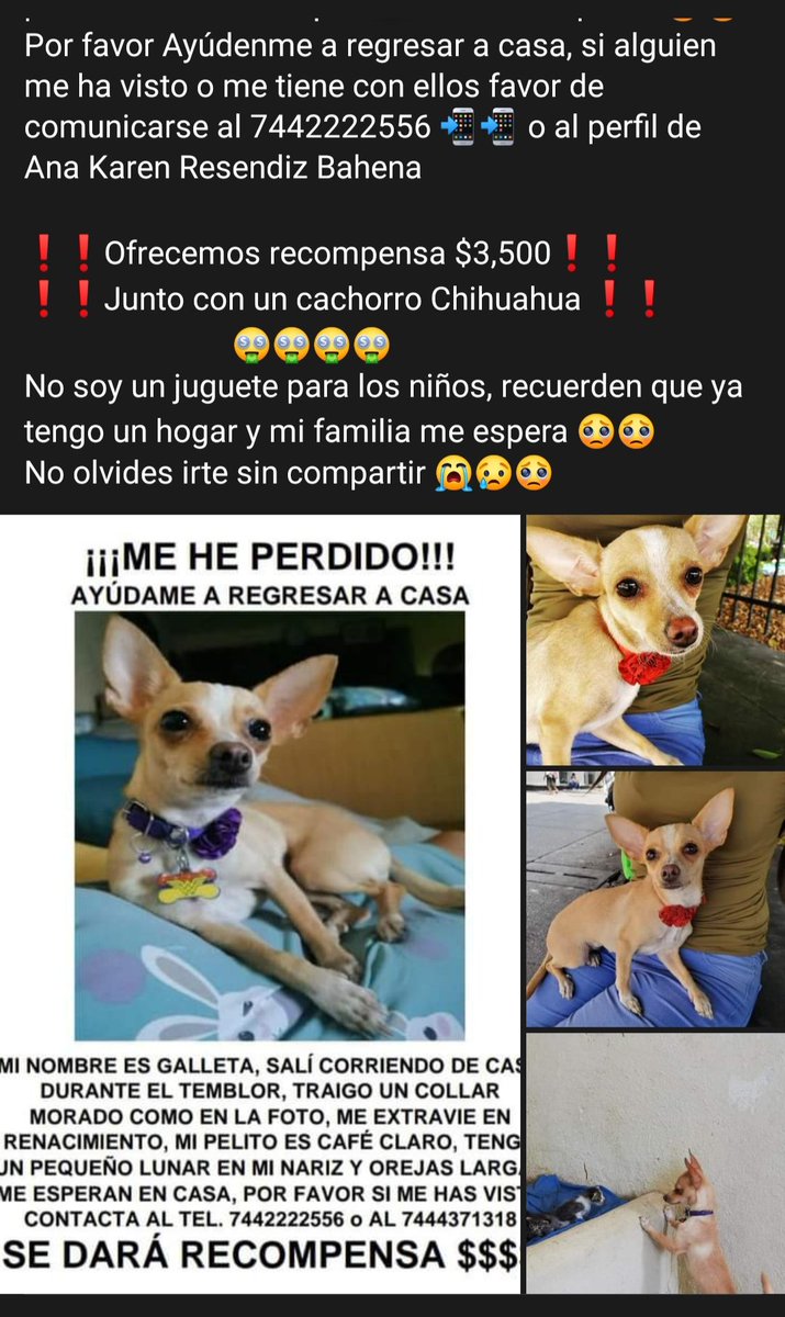 Galleta regreso a casa 💖 tweet media