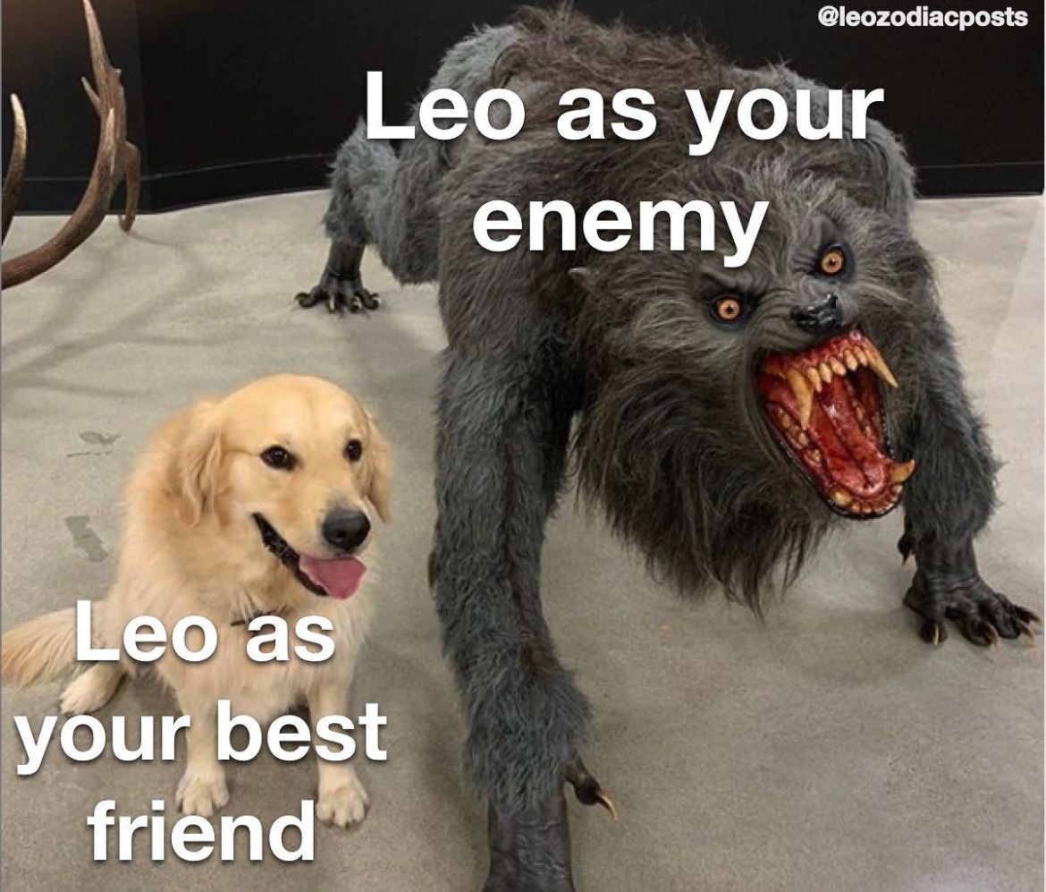 Leo_Tweets's tweet image. #Leo facts 👏🏼