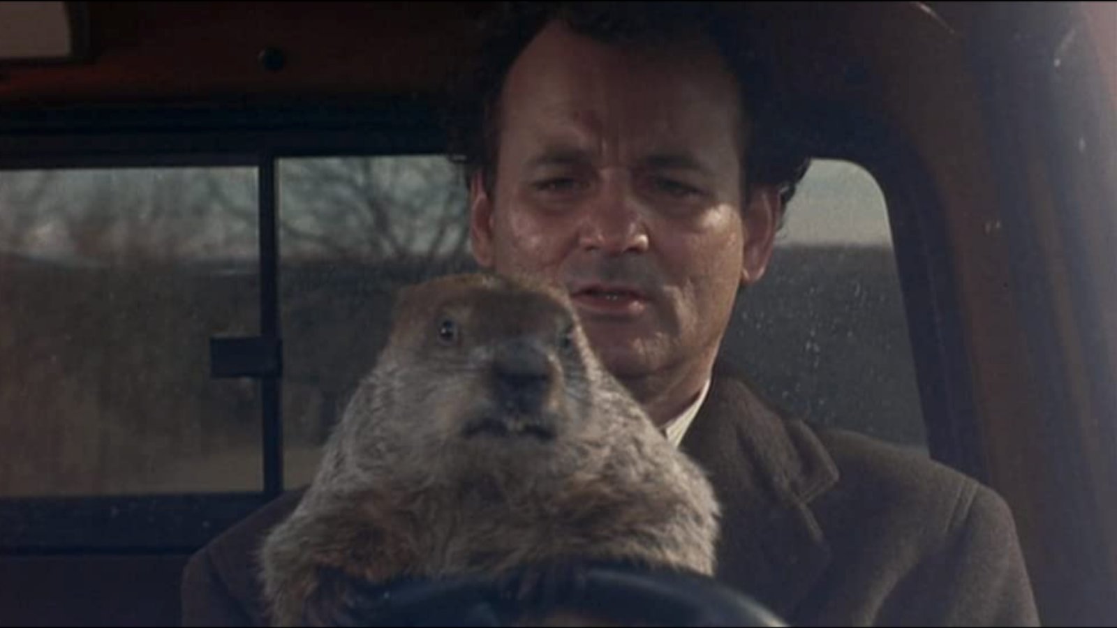 Happy birthday, Bill Murray! The beloved actor and comedy legend turns 71 years old today. 