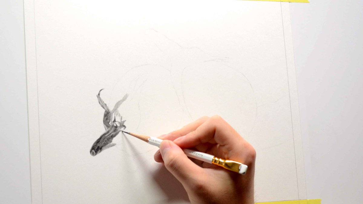 Naoya Ohtani على تويتر 自分のデッサン の描き方が下描き終えてから消し具と擦る道具を使わずに端から描くという方法なのですが 描いては消してを繰り返す一般的な描き方よりも無駄な工程が少なく 画用紙も汚れ ないので仕上がりが綺麗になる その代わり観察力と集中