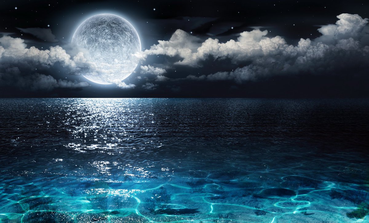 markgobear's tweet image. 🌕✨ The Virgo-Pisces Full Moon on Monday September 20, 2021 greatbearenterprises.com/post/global-ho…

#fullmoon #virgofullmoon #marklerner #astrology #virgoseason #alicebailey #zodiacsigns