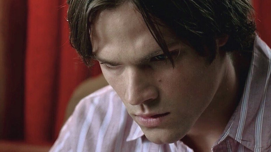 sam’s nose (@dailysamnose) on Twitter photo 