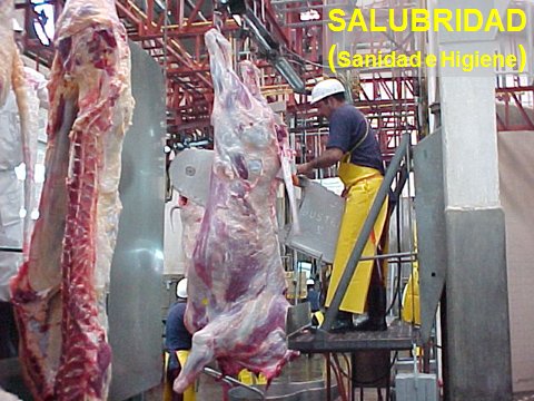 MarcoAPinoM's tweet photo. #CodexFamily
@FAOWHOCodex
@WHO
@FAO
#Panama
Hay 3 consideraciones básicas para adquirir alimentos:
1- Que no te haga daño #FoodSafety
2- Que aporte a tus necesidades #Nutrition
#Diet
3- Que satisfaga tus preferencias #FoodQuality #FoodValue https://t.co/Y8KbQXiNFM