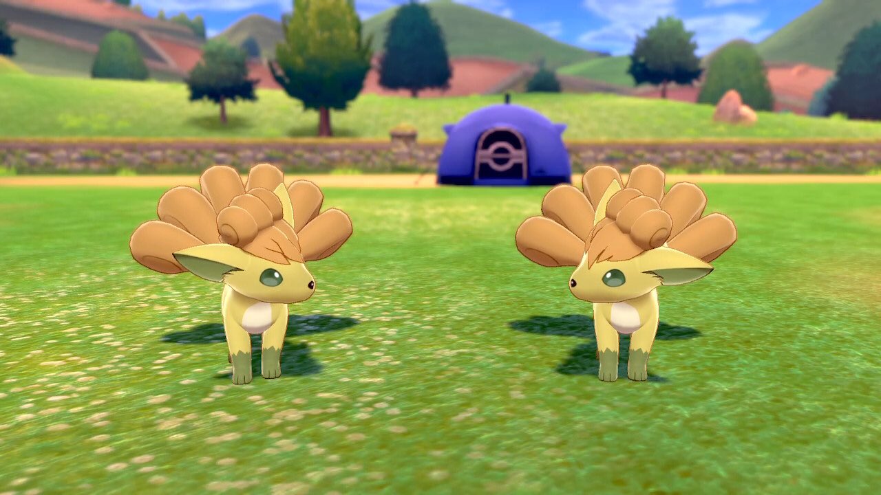 Merkletta على تويتر Guys We Did It Marked Shiny Vulpix 13 Encounters Right After Getting A Vulpix At 1218 I M So Excited Pokemongoraids Pokemon Pokemonunite Shinypokemon Vulpix Marked Grumpy Twitch Twitchstreamer Merkletta على تويتر Guys We Did It Marked Shiny Vulpix 13 Encounters Right After Getting A Vulpix At 1218 I M So Excited Pokemongoraids Pokemon Pokemonunite Shinypokemon Vulpix Marked Grumpy Twitch Twitchstreamer