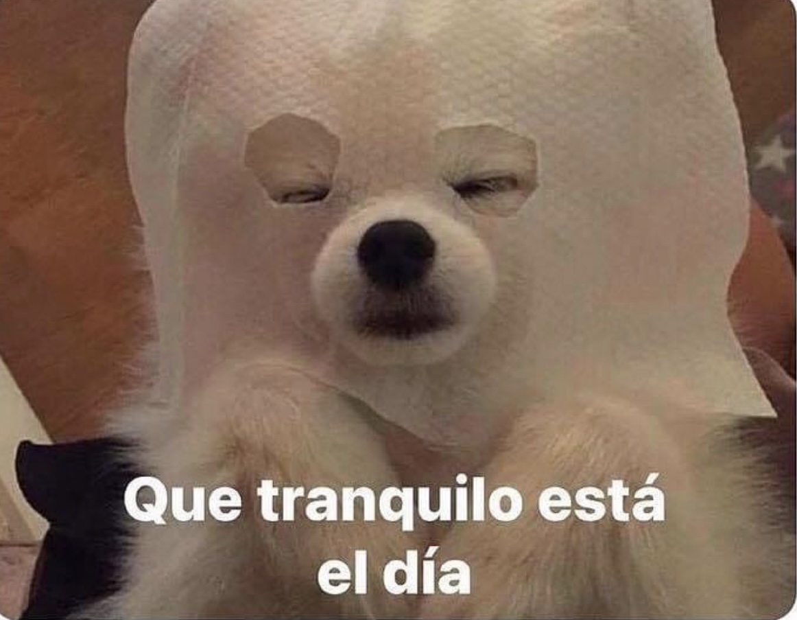*15 tareas pendientes y 10 vencidas*

Yo: