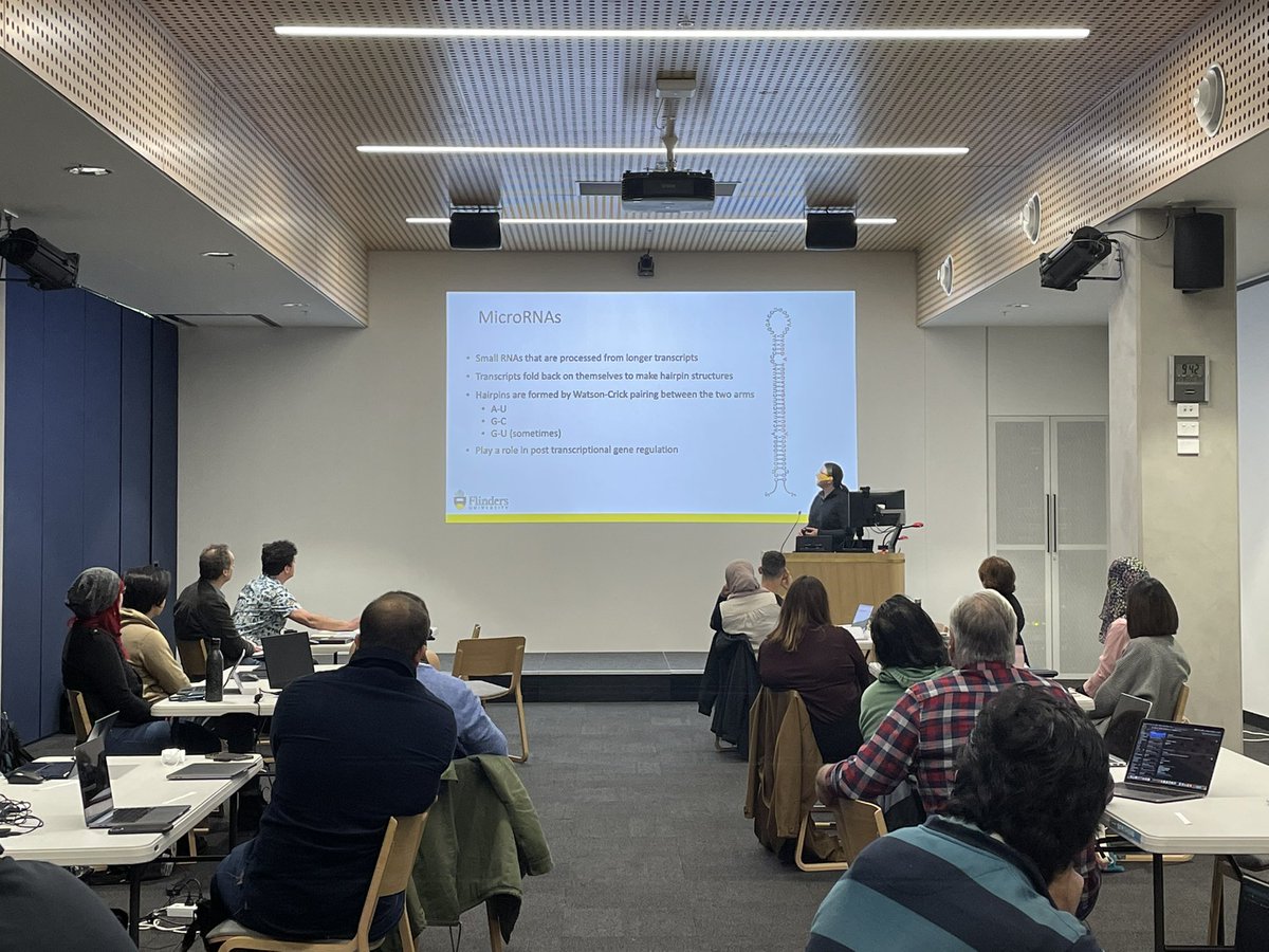Workshop participants at the <a href="/SA_genomics/">South Australian Genomics Centre (SAGC)</a> workshop learning about micro RNAs (miRNAs) from recently-submitted PhD candidate Melanie Smith! <a href="/mxhp75/">Dr Melanie Smith</a> 

#SAGC2021 #Bioinformatics #Genomics #WomenInSTEM @UniSACRI