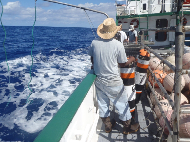 Gilman_bycatch tweet picture