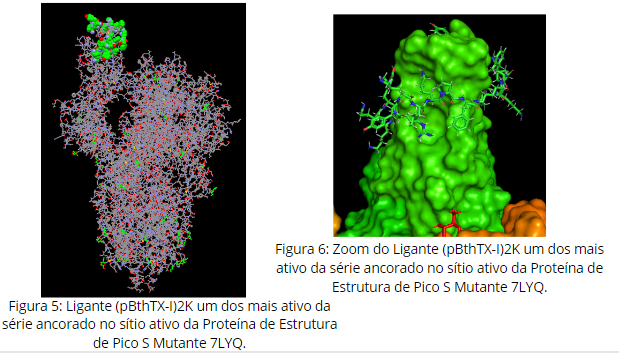 marcushungaro's tweet photo. Olá @LatinXChem, este é meu trabalho 'Estudo de Docking na Busca por Potenciais Inibidores Contra a Proteína de Pico S Selvagem e Mutantes do Vírus SARS-CoV-2' #LatinXChem #LatinXChem2021 #LXChemComp #Comp179 #SARSCoV2 #dockingmolecular #programGOLD Parte2 https://t.co/ZDxznMq4KW