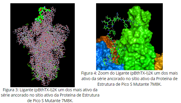 marcushungaro's tweet photo. Olá @LatinXChem, este é meu trabalho 'Estudo de Docking na Busca por Potenciais Inibidores Contra a Proteína de Pico S Selvagem e Mutantes do Vírus SARS-CoV-2' #LatinXChem #LatinXChem2021 #LXChemComp #Comp179 #SARSCoV2 #dockingmolecular #programGOLD Parte2 https://t.co/ZDxznMq4KW