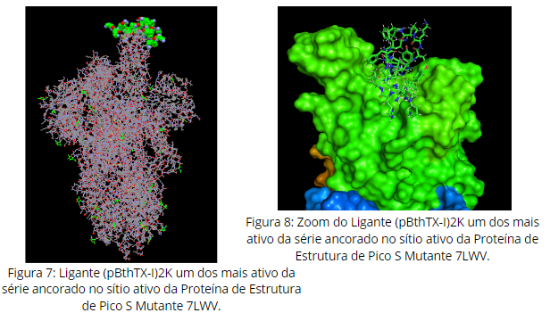 marcushungaro's tweet photo. Olá @LatinXChem, este é meu trabalho 'Estudo de Docking na Busca por Potenciais Inibidores Contra a Proteína de Pico S Selvagem e Mutantes do Vírus SARS-CoV-2' #LatinXChem #LatinXChem2021 #LXChemComp #Comp179 #SARSCoV2 #dockingmolecular #programGOLD Parte2 https://t.co/ZDxznMq4KW
