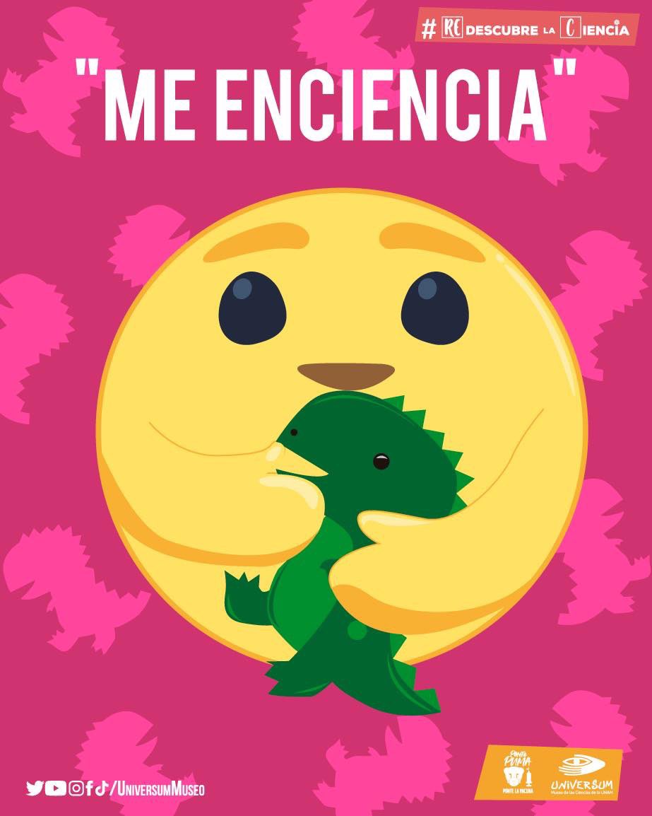 UniversumMuseo's tweet photo. ¡Regresamos a partir del 25 de septiembre! 🥳

¿Nos acompañas? Adquiere tus boletos aquí 👉 https://t.co/XpqybsFzM7

#RedescubreLaCiencia https://t.co/jcY5NITAQY
