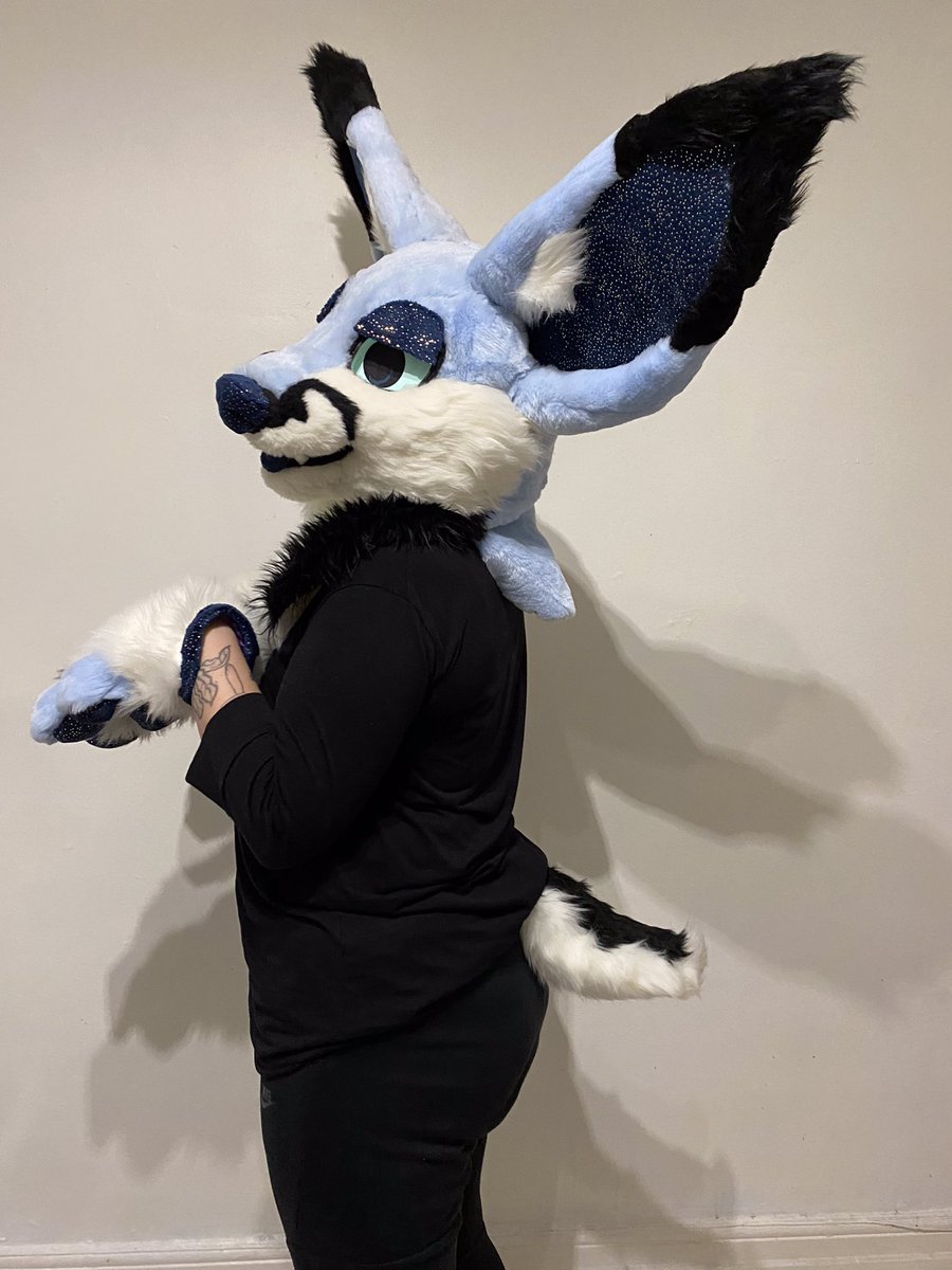 SNOUTSOFT's tweet photo. ok i’m thinking of taking offers on mallow the fox hybrid.. he features ear vents (also, huge ears) &amp; sleepy Velcro eyelids. dark blue parts are gold&amp;blue sparkle minky. head &amp; paws are lined w knit cotton (neck is unlined), soft stuffed paw pads &amp; bouncy nub tail… https://t.co/YNXWV0hNnQ