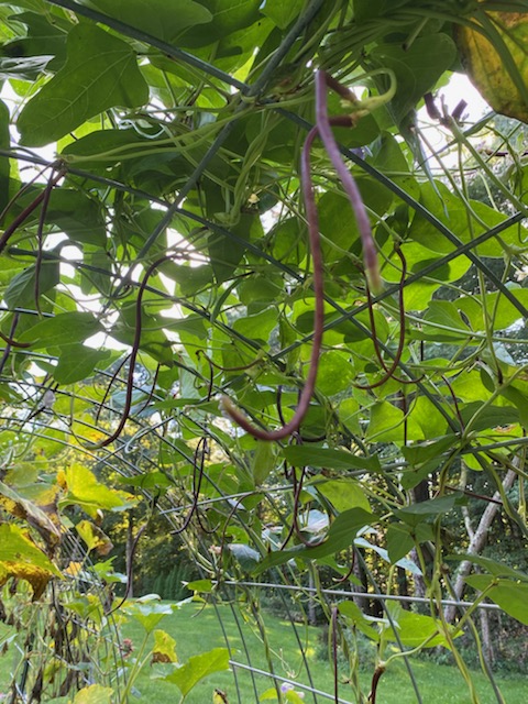 Sandy Woods tweet media