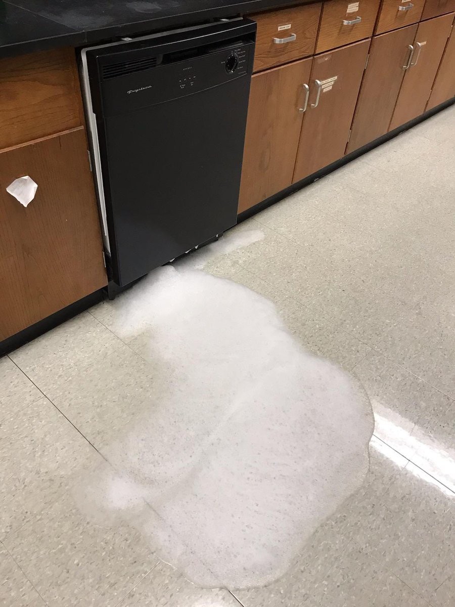 MsDeBottisbio's tweet photo. About how my day went! 🤦🏼♀️ Tomorrow is a new day! @MsDeBottisbio #LostInternet #OldSchoolToday #CoffeeSpilled #SmellyEggLab #LittleToNoSleep🧟♀️🧟♀️ https://t.co/fz3jYYjW31