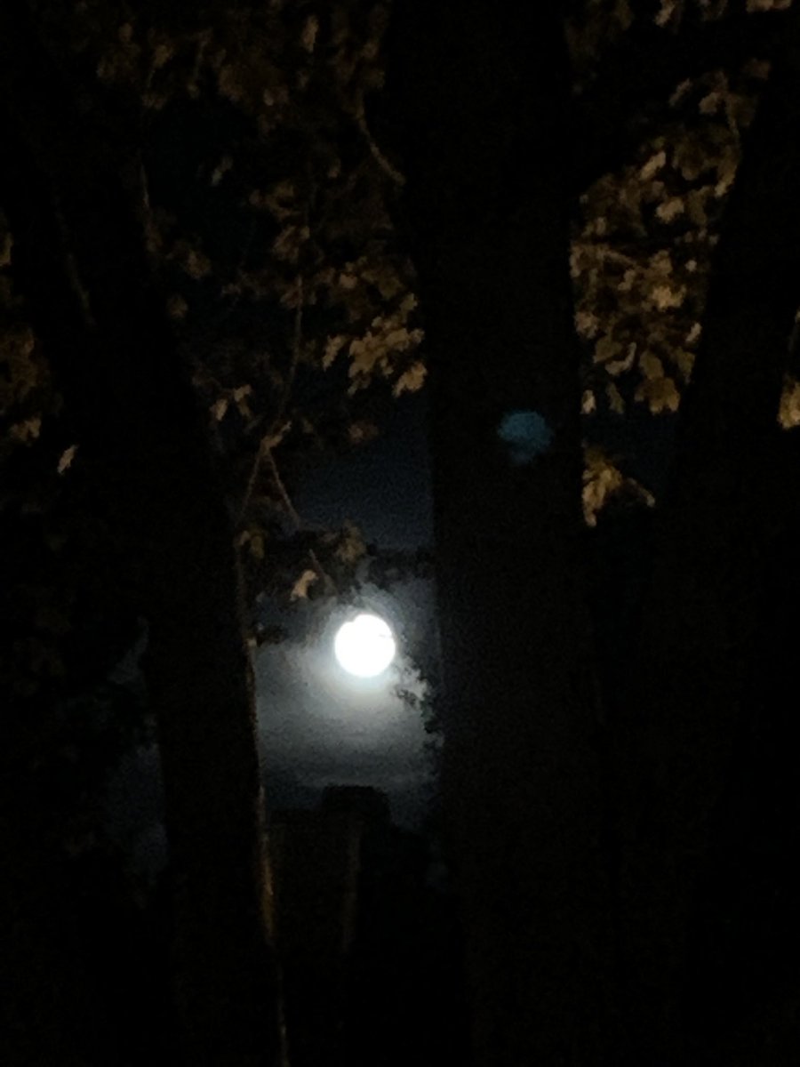 Crista Abramson (@missa_npsd) on Twitter photo I hope everyone is out tonight doing their moon observations… it’s AMAZING! 🌑 #FullMoon #HarvestMoon <a href="/bpmustangpride/">Bridle Path Elementary</a> I hope everyone is out tonight doing their moon observations… it’s AMAZING! 🌑 #FullMoon #HarvestMoon <a href="/bpmustangpride/">Bridle Path Elementary</a>