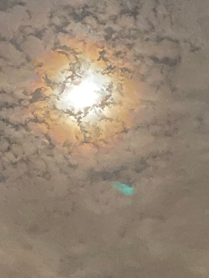 BAvaian's tweet photo. Sunday was an excellent day for pictures. I hope everyone is having a great Monday!!! :)

#CMN3980 #PantherPR https://t.co/zj9fxohwk8