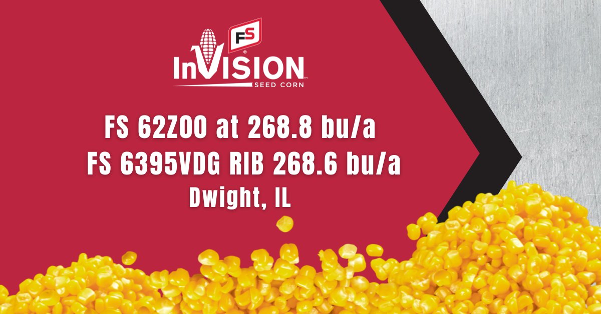 FSInVISION_FSHiSOY (@invision_hisoy) on Twitter photo #FSInVISION takes top 2 spots in <a href="/fs_heritage/">Heritage FS, Inc.</a> plot with 62Z00 at 268.8 bu/a & 6395VDG RIB with 268.6 bu/a. Plot avg = 248.7 🌽Full report: bit.ly/39oqqpm #harvest21 #FSInVISION takes top 2 spots in <a href="/fs_heritage/">Heritage FS, Inc.</a> plot with 62Z00 at 268.8 bu/a & 6395VDG RIB with 268.6 bu/a. Plot avg = 248.7 🌽Full report: bit.ly/39oqqpm #harvest21
