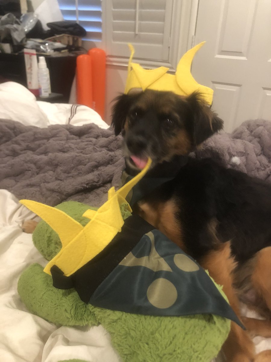 stephaniesheh's tweet photo. Someone check the time stream cuz Iβve found variants. #loki #dogsplay #marvel https://t.co/g26lu8OQuK