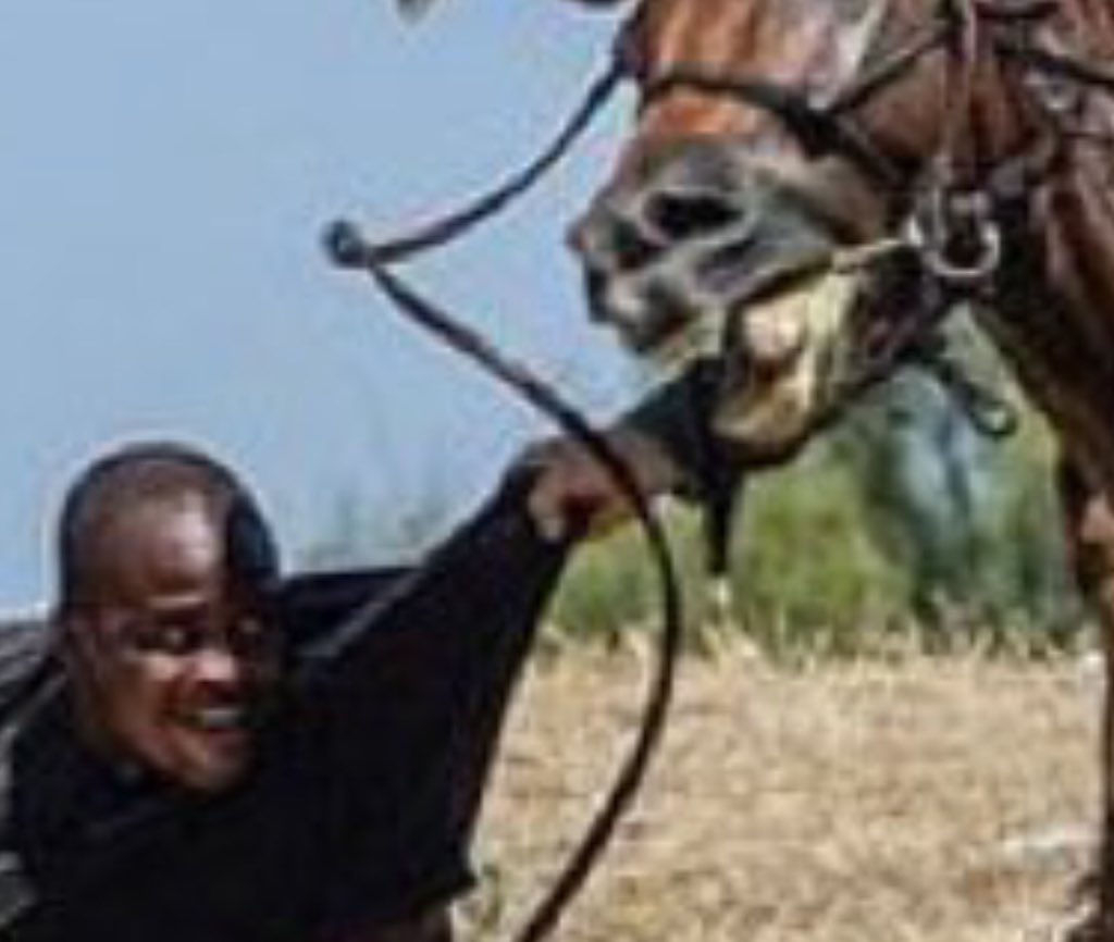 GLFOP's tweet image. For all you Twitter warriors out there: these are NOT whips. And no, Border Patrol agents are NOT "whipping" people.

They are REINS... Stay with us here, like a steering wheel is used to drive a car, the reins are used to “drive” the horse. 

Thanks for coming to our TED talk.