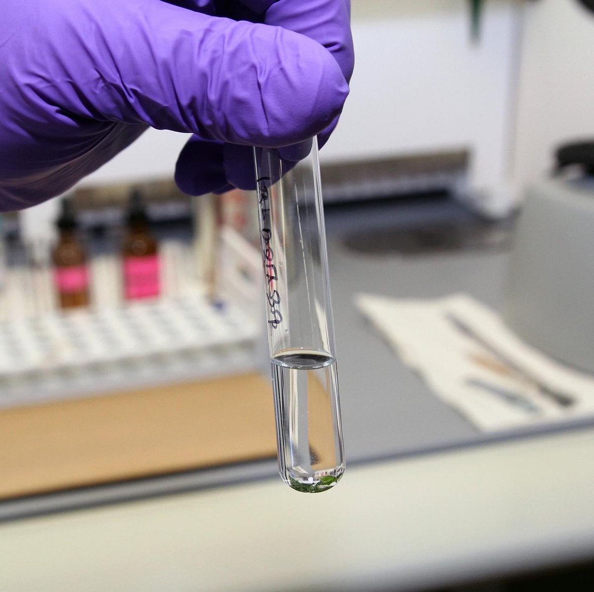 akstatetrooper's tweet image. This week is National Forensic Science Week, the annual week recognizes the important role that proper forensic science plays in the investigation of crimes throughout the nation, from exonerating the innocent to identifying the guilty. gov.alaska.gov/newsroom/2021/… #NFSW2021