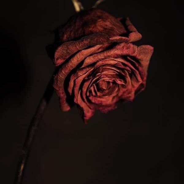 PΛSS:OИ ㅡ ARA (@pass_aran) on Twitter photo 