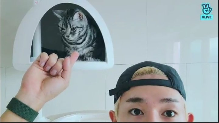 sambakjaa's tweet photo. aww i missed bom and yeoreum 🥺 thank you for coming by, wonho-yah!!! ilysm 💛 #원호 https://t.co/Vjc5FwJUy8