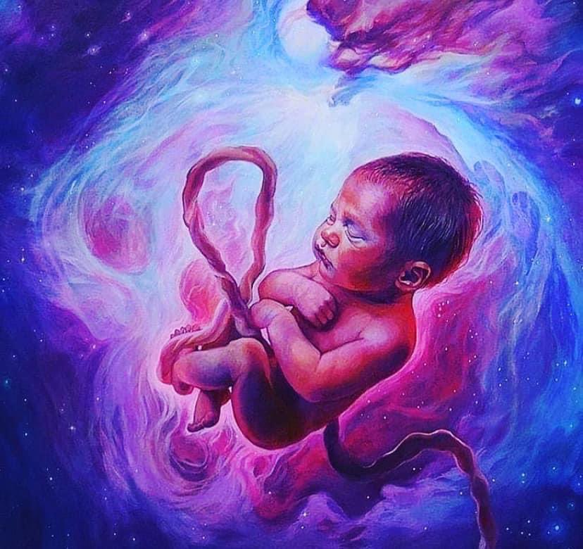 The baby in the womb is listening, feeling, and learning from inside of the womb. What happens during this time matters.
#TheConsciousBaby 
#BirthPsychology 

IMAGE CREDIT :  @nataliarakart