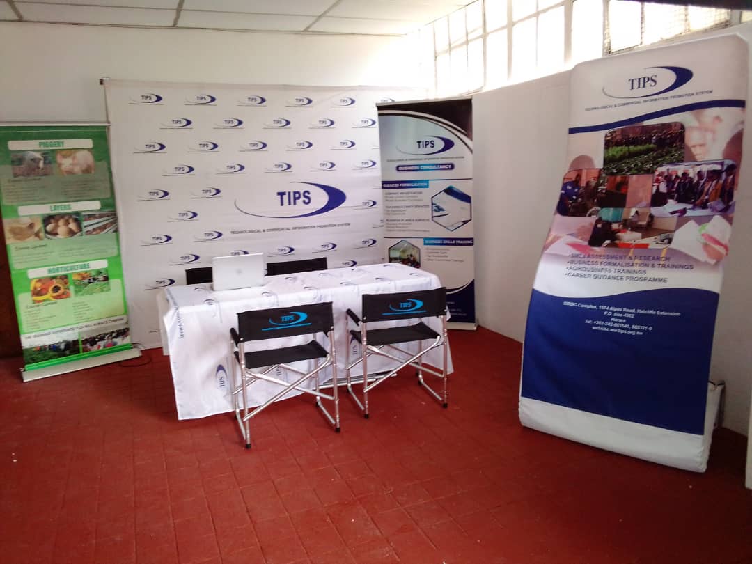 TipsZimbabwe's tweet image. It's time for ZITF again and we are there!! Want to register a company? Want to train and start your own agribusiness? Get more business skills and more? Then visit our TIPS main stand at the ZITF for more information and DVDs.