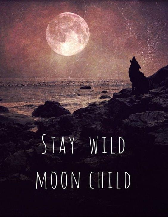 There's just nothing quite like keeping it real and howling at the moon... don't you think?

#wildwoman #moonchild #earthchild #wildchild #befree #dancenaked #darkindie #fyerfly #sensualpoetry #sadcore #songstress #altrockmusic #lofichill #slowcore #songwriterlife #soulpath