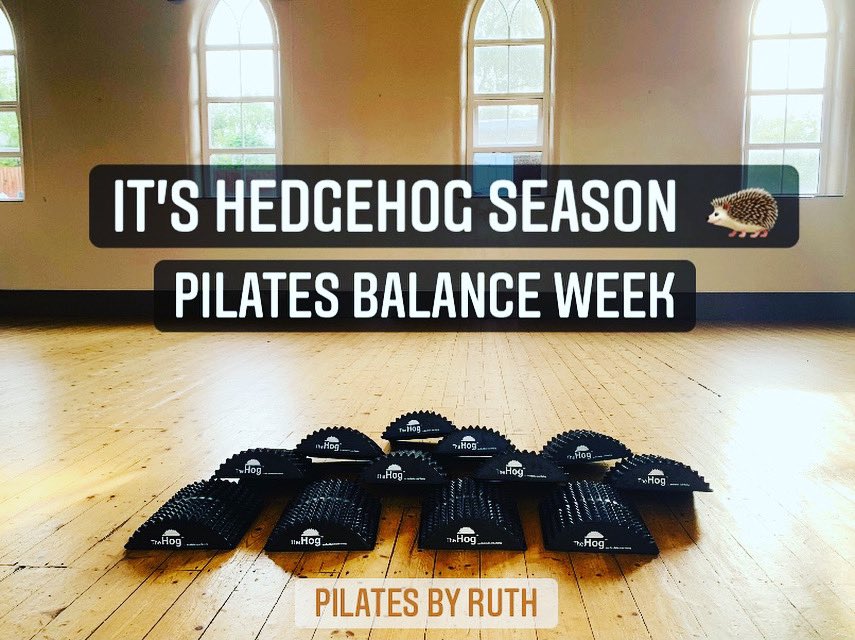 Balance Is Everything 🦔 #Pilates #pilatesclasses #balancetraining #proprioception #functionalpilates