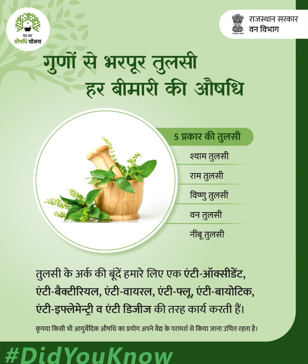 क्या आप तुलसी के इन 5 प्रकारों से परिचित हैं ?
#RajasthanForestDepartment #ForestDeparment #GharGharAushadhiYojana #Aushadhi #StayHealthy #Tulsi #BenefitsOfTulsi #Basil #GrowGreen #GreenRajasthan #Healthy #Didyouknow