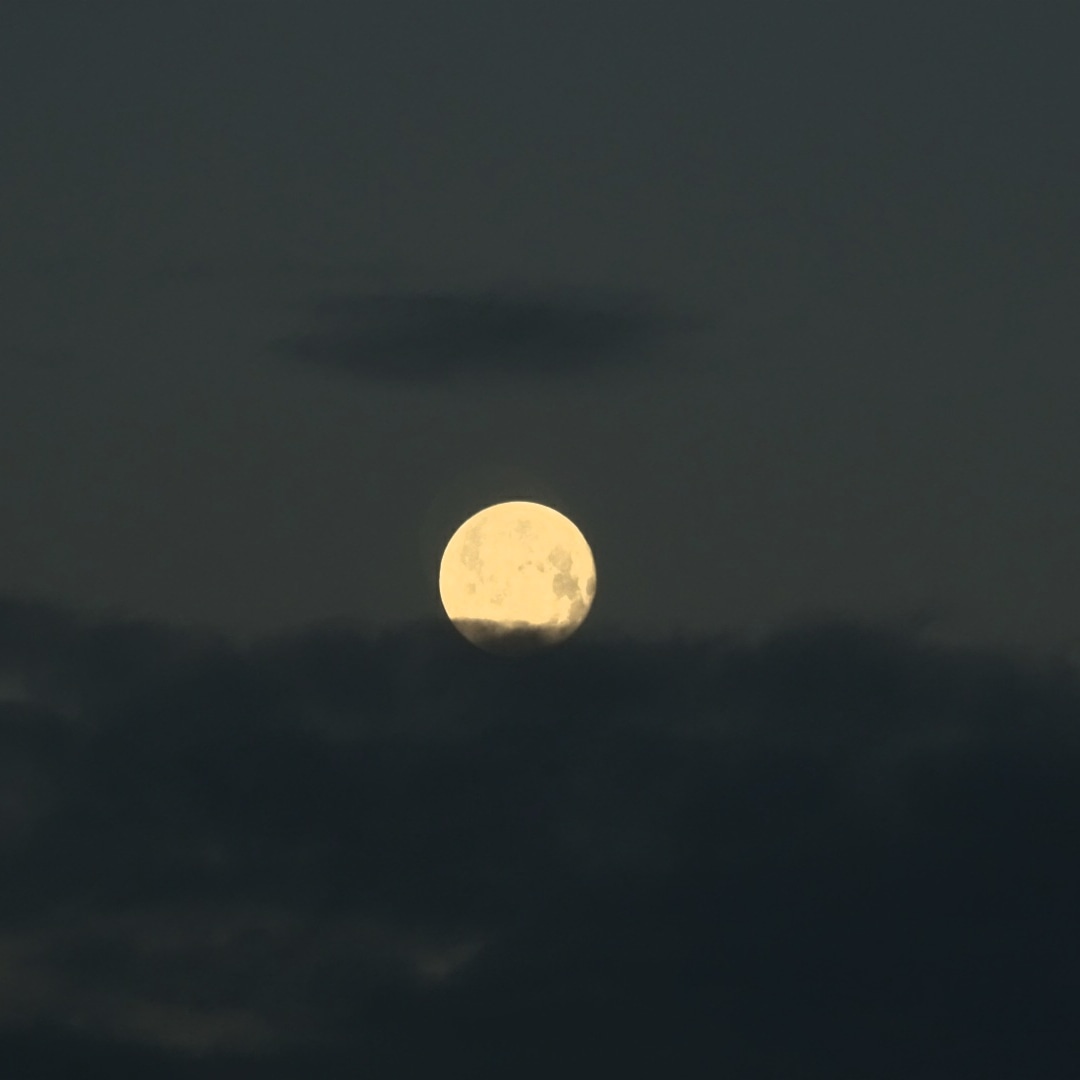 ew_werner's tweet photo. Last night🌚 #Moonlight #NaturePhotography #wonderful https://t.co/oHZOxEzi8z