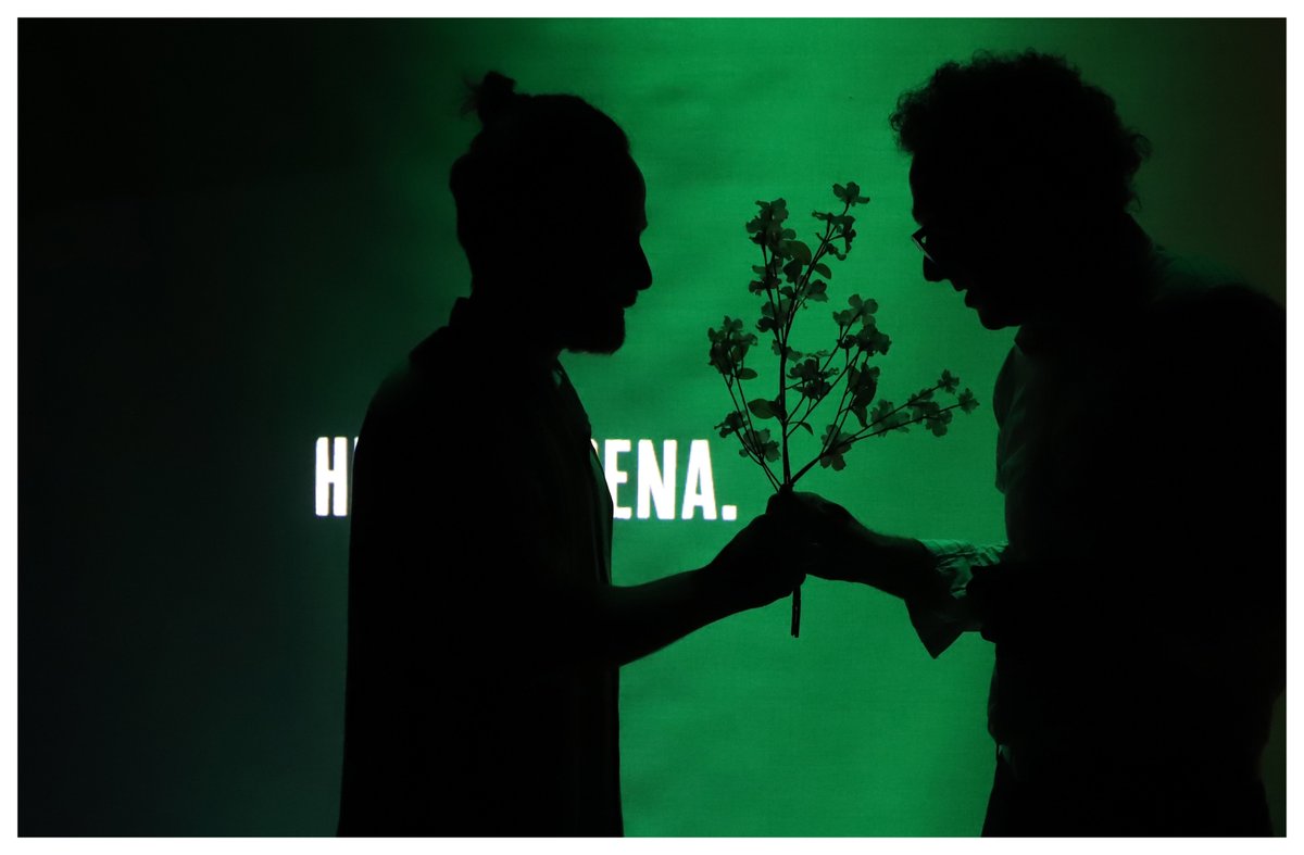 "Publicidad y política se funden con un suceso inesperado. Un gorila del Bioparc que escapa en plena noche. Agencia y zoológico. Dos naturalezas  mezcladas como las raíces del jacarandá." 
ESPALDAS DE PLATA. 
Fins al 26 de setembre, a les 19h. 

ENTRADES: cutt.ly/VWOaU4l