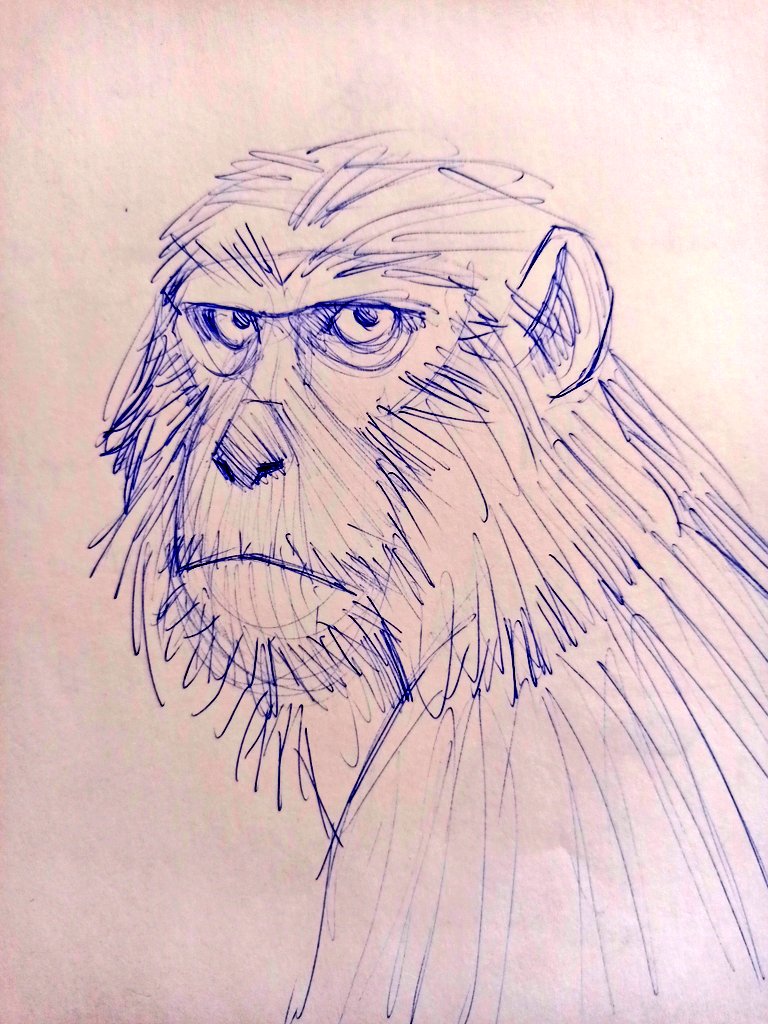 nic_cortes_'s tweet photo. 🐒 https://t.co/J0gYPvyr8L