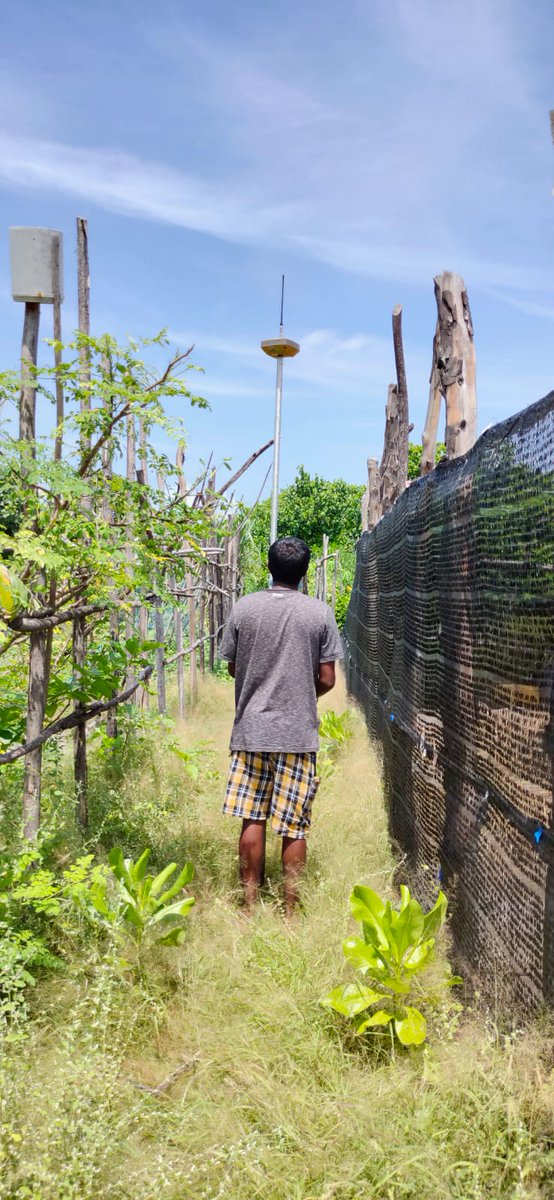 MoEnvmv's tweet photo. Managed Aquifer Recharge (MAR) feasibility and design surveys in Ha. Molhadhoo under @theGCF funded water project. 
@lgaMaldives @UNDPMaldives 

#WATSAN #Water #Fenfahi #GCF #GroundWater #Aquifer https://t.co/OGJmkH2Icx