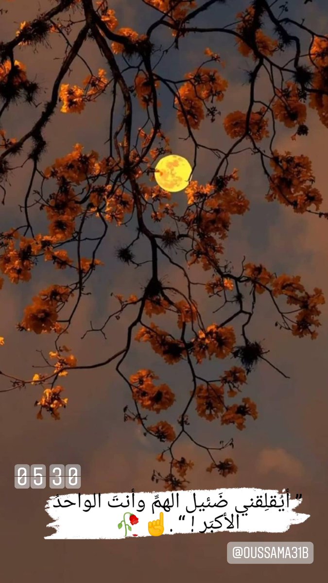 ” أيُقلِقني ضَئيل الهمِّ وأنتَ الواحدُ الأكبَر ! “ .☝️🥀