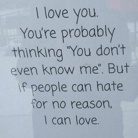 Mr Dingo (@daddy_ding0) on Twitter photo 