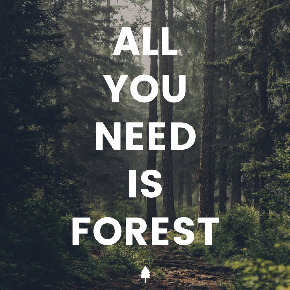 ECO Erin (@ECOErinCo) / Posts / X