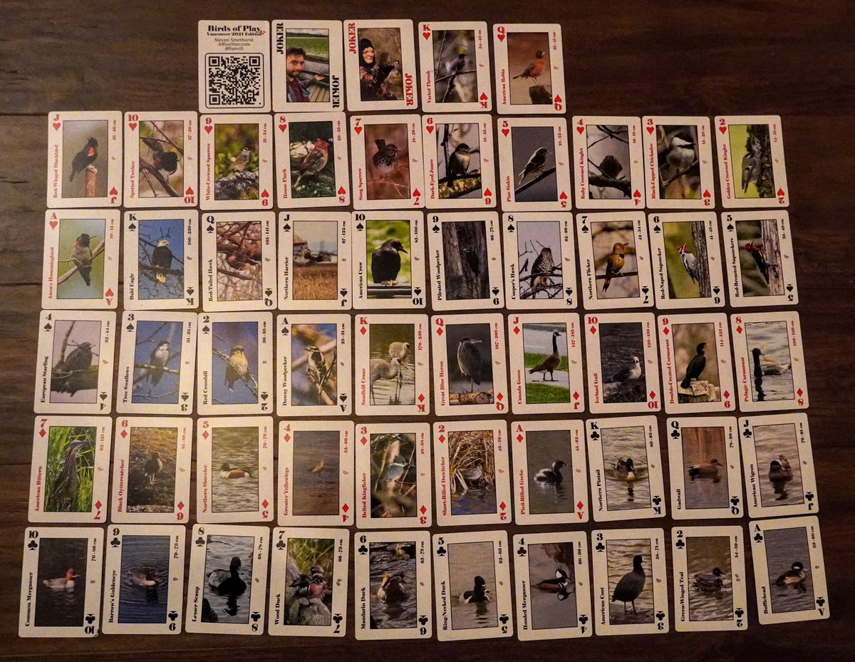 funvill's tweet image. I made a deck of playing cards called "Birds of play" with photos of the birds I took this year. It was a fun project and a good reason to get out and leave the house during COVID. A Covid Project. More information blog.abluestar.com/birds
.
.
#Birds #DeckOfCards #CovidProjects