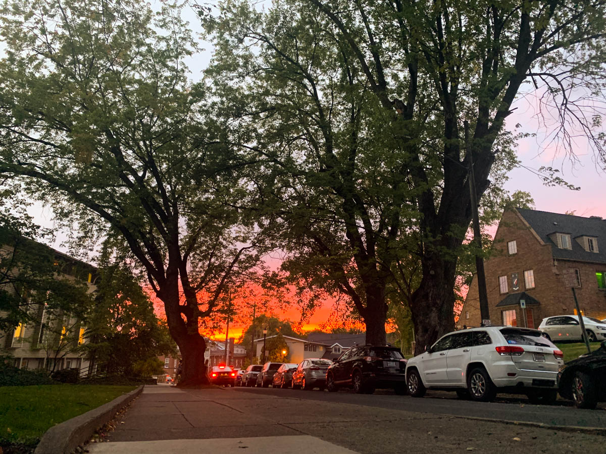 ChloeKCOM210's tweet photo. These are some photos I've taken and edited to use in a WSU promotional poster. They were taken on campus with coug gear I found from friends and my own personal textbooks! #MurrowUGLife #com210 #project2 https://t.co/30hcYXDvTn
