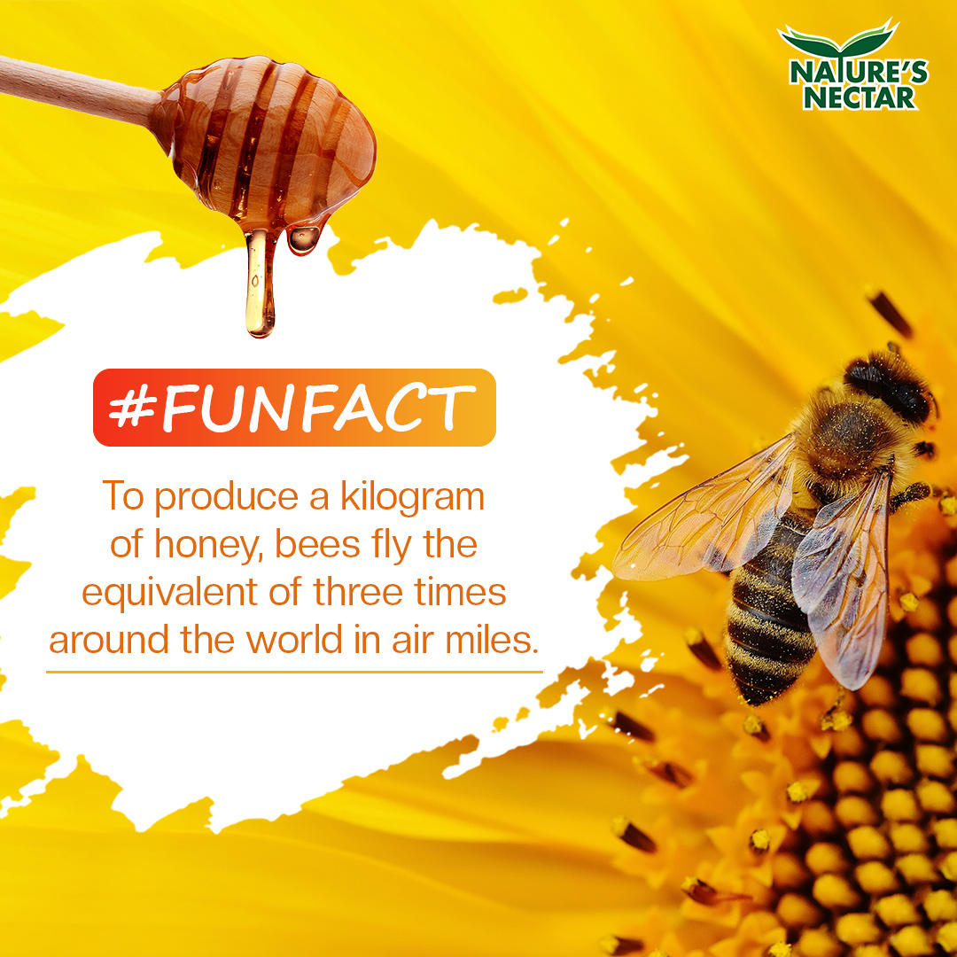 NaturesNectarIN's tweet photo. Did you know about this fact already? Tell us in the comments below if you’re aware of some honeylicious facts. 🤔
#NaturesNectar #NMR #NMRtested #ZeroAdulteration #PureAndNatural #EthicalChoices #ConsciousChoices #PureHoney #NaturalHoneyProducts #NaturalHoney https://t.co/a5hcRiM4tl